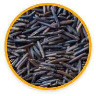 Icone Beneficios do Arroz