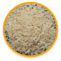 Icone Beneficios do Arroz