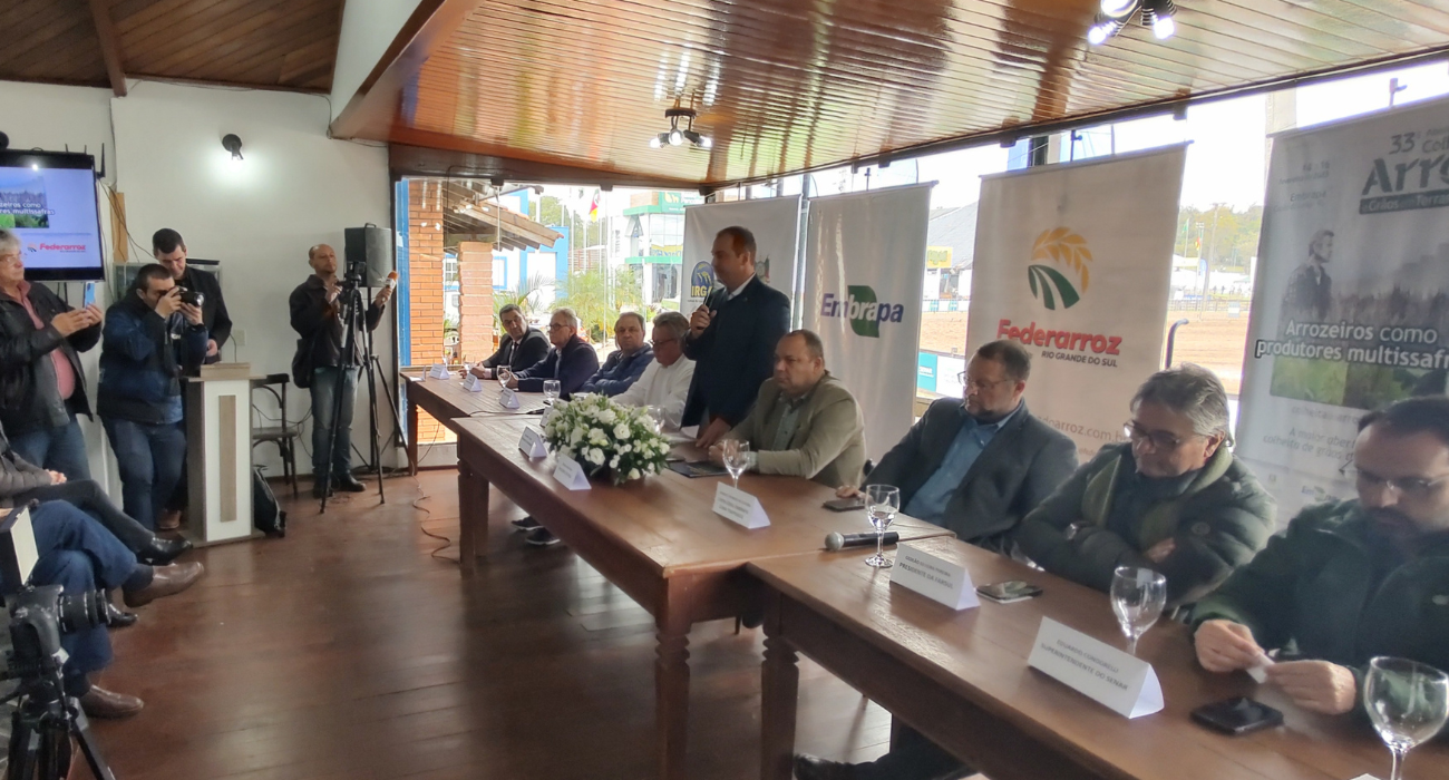 Futuro do arroz aponta para a diversificação da lavoura
