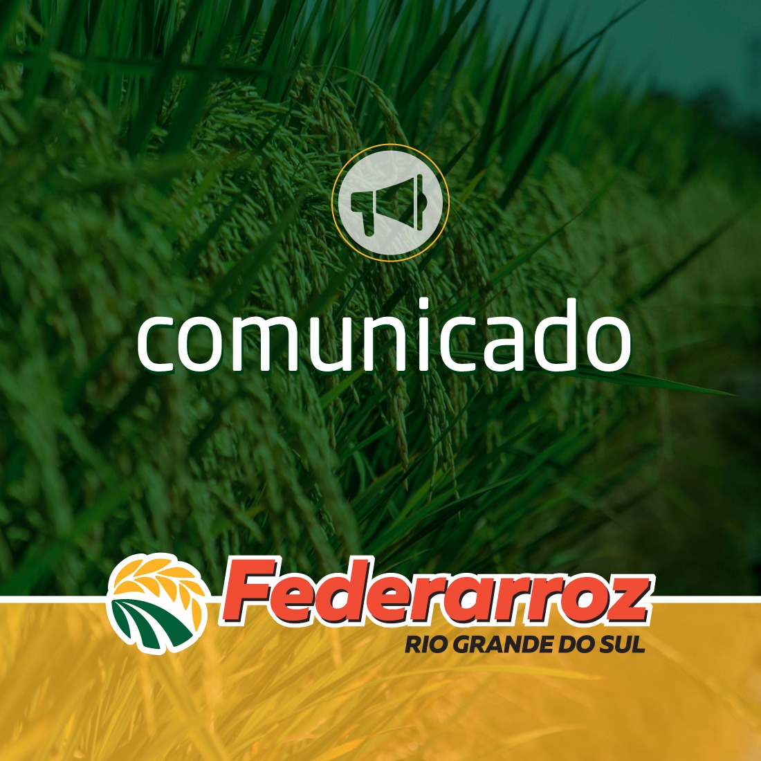 Pedido de Ação Direta de Inconstitucionalidade
