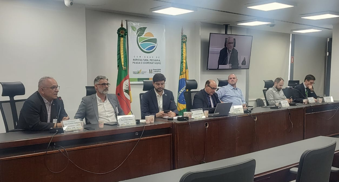Audiência aponta uso da CDO como subvenção para enfrentar crise do arroz