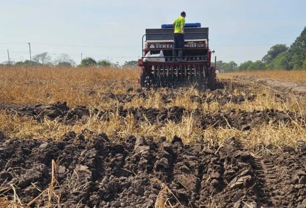 Federarroz amplia alternativas de cultivo para evento de Abertura da Colheita 2027