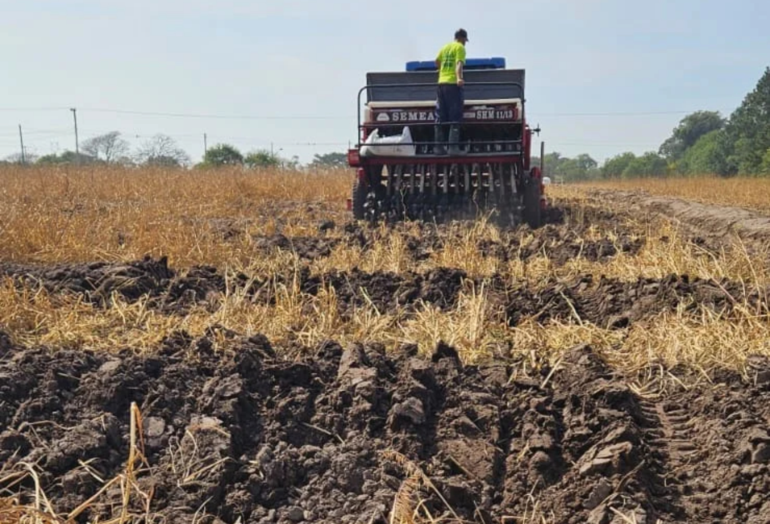 Federarroz amplia alternativas de cultivo para evento de Abertura da Colheita 2027
